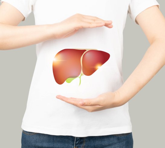 Liver