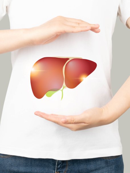Liver