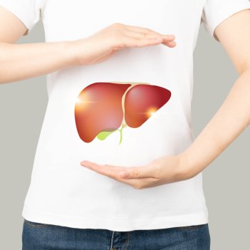 Liver